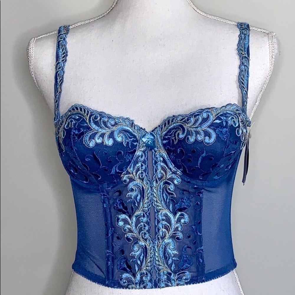 Enchanted Princess Embroidered Bustier Corset